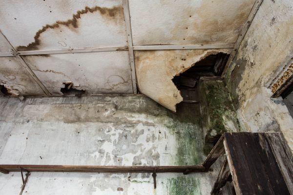 Cost of Water Damage Service in Sugar Land