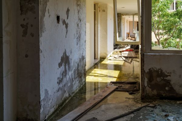 Cost of Water Removal Service in Sugar Land