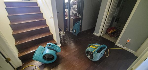 Cost of Water Damage Remediation in Sugar Land
